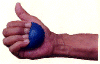 T-LAST2.gif (23137 bytes)